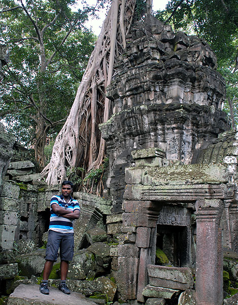 Historický chrám Angkor-Wat stromy