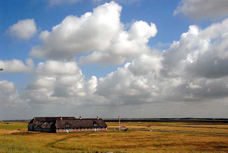 Farma uprostřed danského vnitrozemí